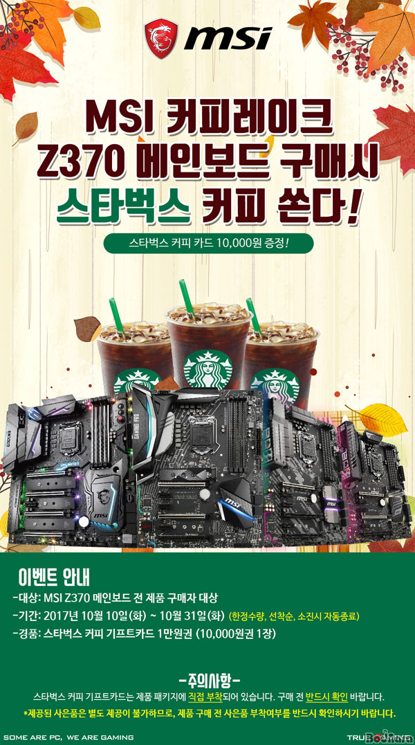 엠에스기프트 이미지