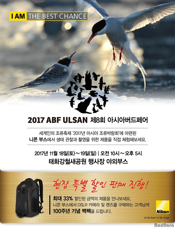 DSLR존 이미지
