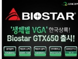 Ż׸, 11 ʹ ݴ Biostar GTX650 