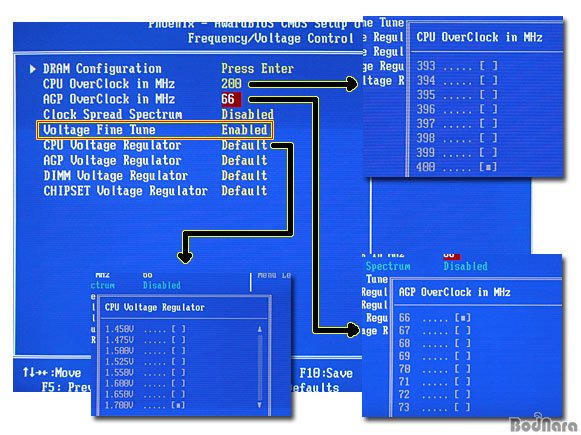 bios3.jpg