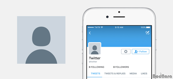 트위터, 달걀 모양 기본 프로필 사람 실루엣으로 변경 : 보드나라 기사