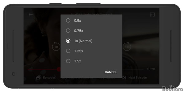 playon raspberry pi