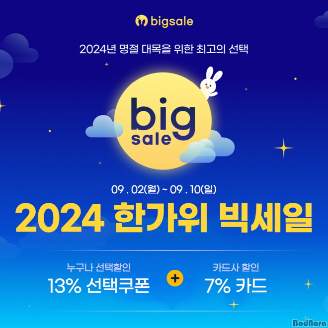 세일아이티 이미지