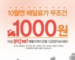 ǽð ֹ  'Ź', 10 Ѵ ޺ 1000 ̺Ʈ