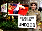 Ｚ, 'Ｚ UHD TV Բ ϴ ⵿ UHD ZOO' ȸ ǽ