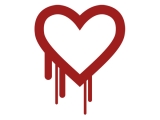 OpenSSL Ʈ ,  30  
