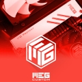 , Ŀ Ʃ   MEG Ŀ ǰ 