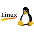 2020 ߱  PC   ü?