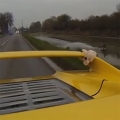 󸮷 ũ带 ź?  ū ڵ,   ޾