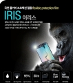 ,  ľ   ̸(IRIS) Ʈ ȣʸ 