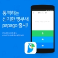 ̹, ΰ   ڵ뿪  İ(papago) 