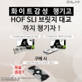 ڸ, Hall Of Fame SLI 긴 뱳  θ 
