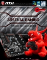 MSI, B250M ڰ   ̺Ʈ 