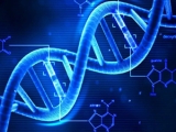 DNA를 데이터 스토리지로 사용하는 연구 진행 중