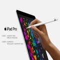  iPad Pro   ǽ