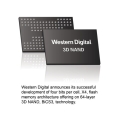 WD, Ĩ 768Gb 64 3D QLC    ǥ