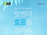 ڸ, HOF ϰ HOF  ̺Ʈ 