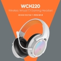 ۽,   7.1 ä ̹  WCH220 