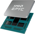 Zen3  AMD  CPU,  7003 ø  ǥ