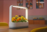̺    LG Ʒ ̴,  Ǹż  