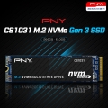 ̾ý, PNY CS1031 M.2 NVMe Gen3 SSD 
