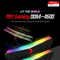 ̾ý, PNY XLR8 DDR4-4600 Gaming EPIC-X Ű ޸(8GBx2) 