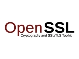 하트블리드 재림될까? OpenSSL 치명적 취약점 보안 패치
