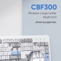 ۽, ÷ڸ  ū۾  Ű CBF300 