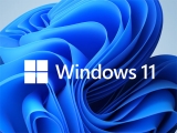 MS 윈도우 11 24H2, 특정 명령어 미지원 CPU의 부팅 차단?