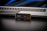 Ƽ, ũ ũ P310 Gen4 NVMe SSD 