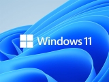  11 24H2, Ϻ USB ĳʿ ȣȯ ̽ ߻