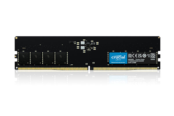 대원씨티에스, 마이크론 Crucial DDR5-5600 64GB 고용량 메모리 출시