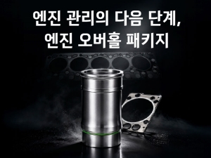 ��ŸƮ���ڸ��� ��������Ȧ ��Ű�� ���, ��� ���� ���� ���� ���� ����