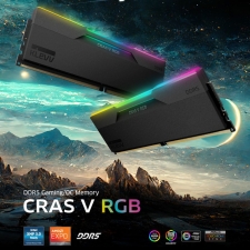 �������ؾ���, �����ھ� Ŭ���� DDR5 ũ�� V RGB 64GB ���԰�