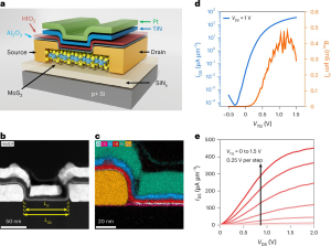 TSMC, 1nm ���� ���� ���� ���� ������ Ʈ�������� ��� ����