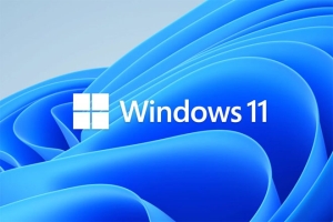 MS À©µµ¿ì OEM ¶óÀ̼±½º °¡°Ý ÃÖ´ë 10% Àλó?