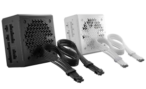 Ŀ����, 12V-2x6 ���� ��ȣ ��� ž���� ���� RMe PSU ���