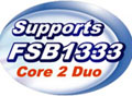 MSI, FSB1333  945GC κ ǥ