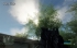 Crysis, Very High ɼ Windows XP  