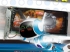 ž, 9600GT X-Over HDTV VGA 512MB GDDR3 OVER õ  