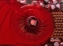 Radeon HD 4850, 3DMark Vantage 6000 ̻  