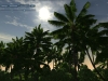 Unigine, DirectX 10.  Tropics  