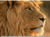 OS X ̾ 20  Ȯ, 13ġ ȭƮ ƺ ?