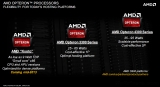 AMD APU  CPU ȹ