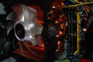 ASUS Royal Knight