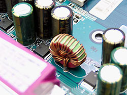 P1010175s.jpg