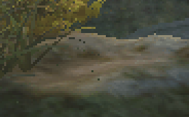 3d_98xt_3.gif