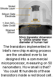 str_silicon2.gif