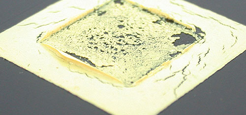 DSCN7030s.jpg