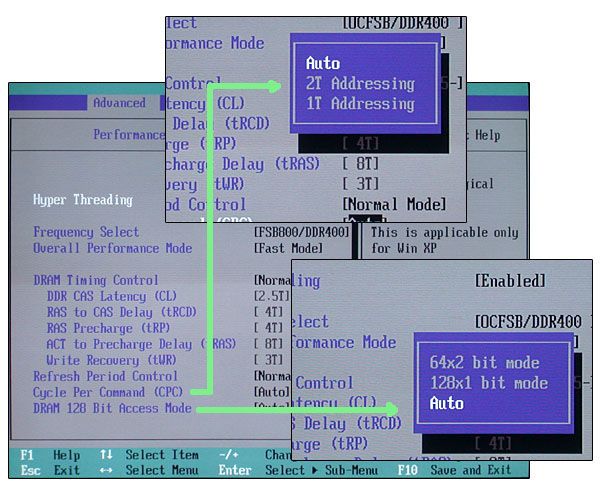 bios4.jpg